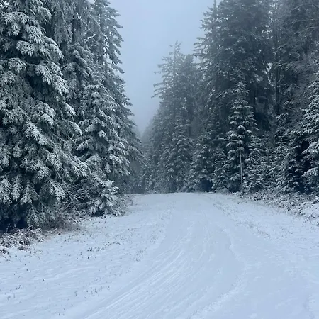 Fichtenblick Appartamento